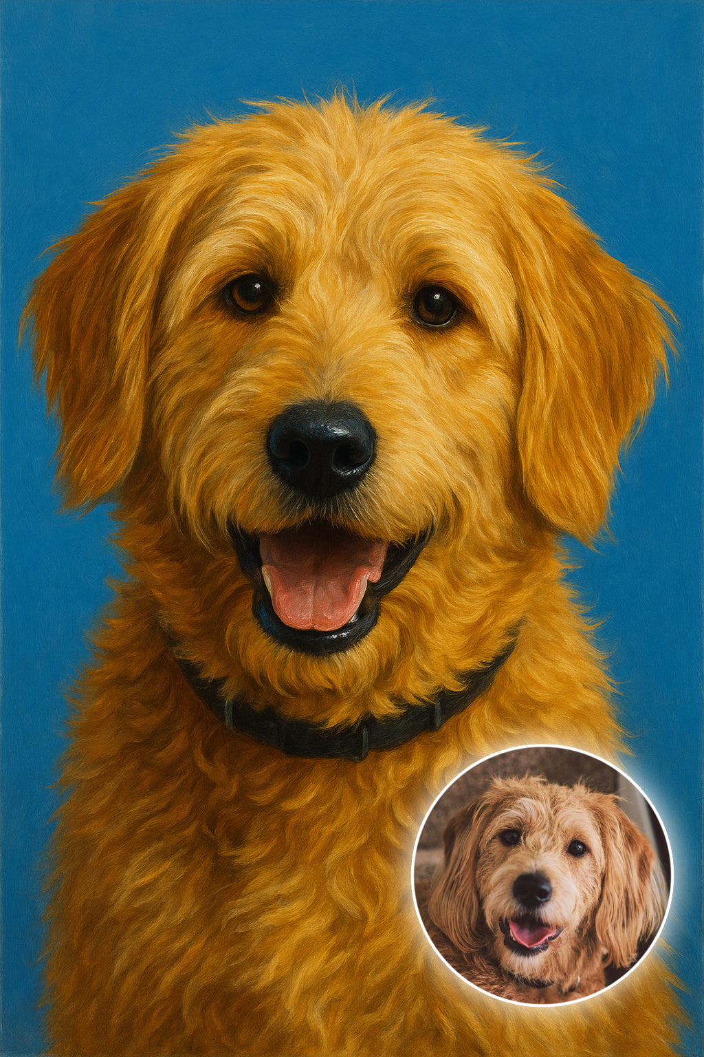 Dog on Colour Background